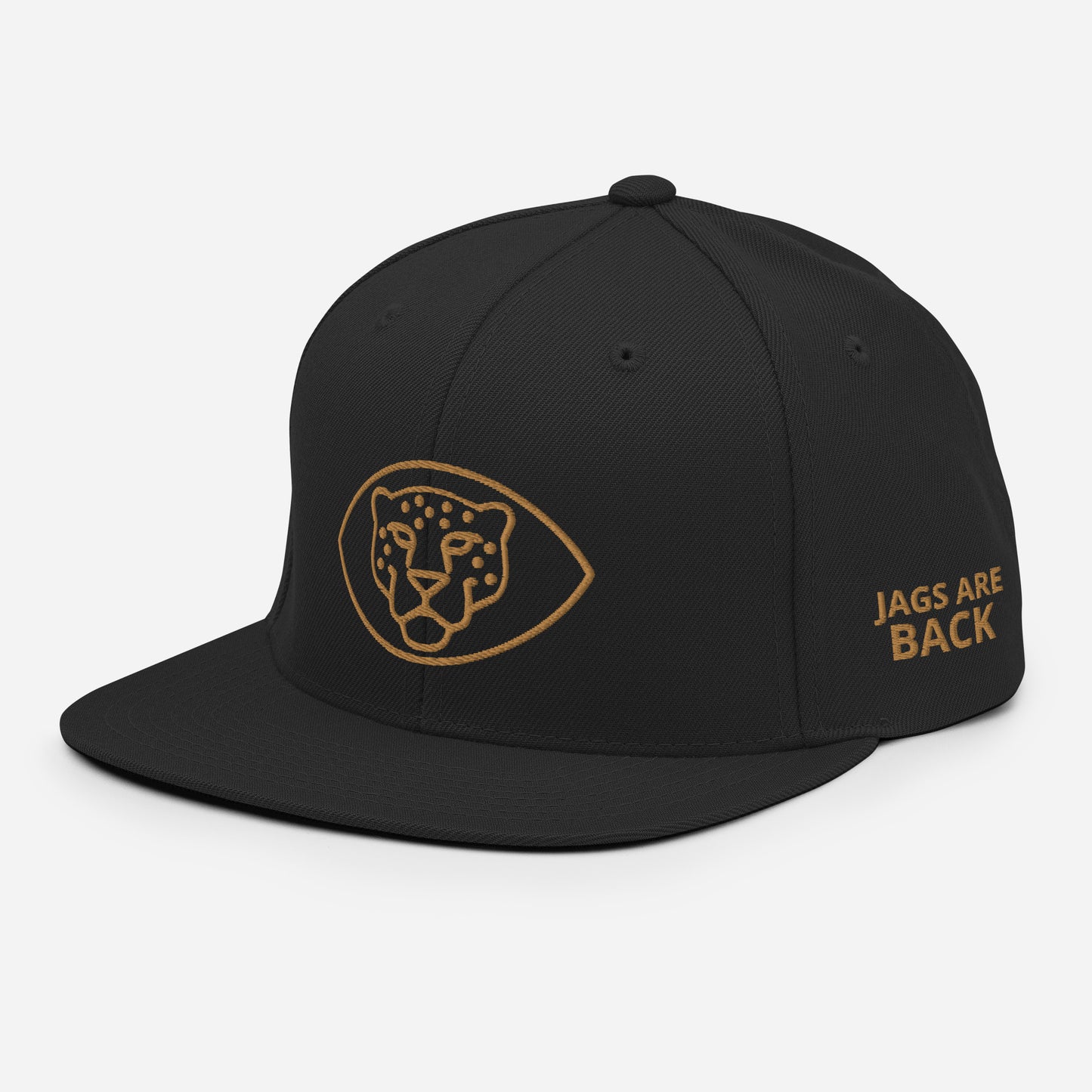 Jags Are Back Snapback Hat
