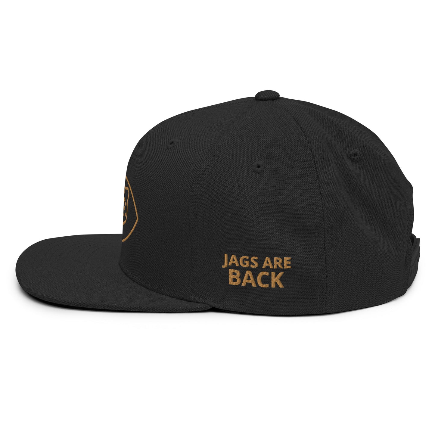 Jags Are Back Snapback Hat